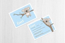 Lieve koalabeer Lieve koalabeer
